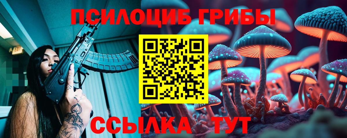 Галлюциногенные грибы Psilocybe Муравленко